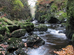 SX20905 Conwy Falls in Fairy Glen near Betws-y-Coed, Snowdonia.jpg